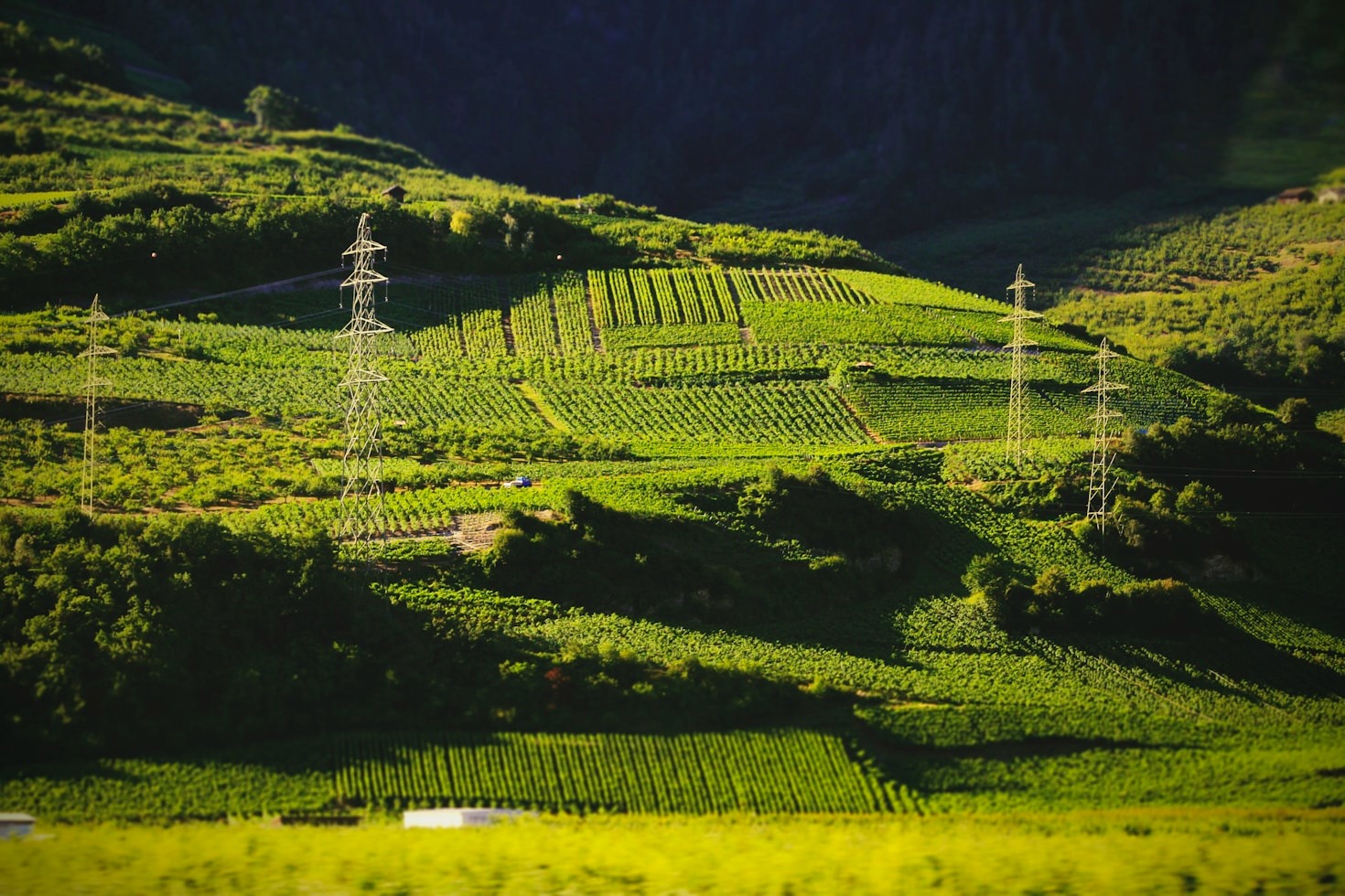 Top 5 Destinations for Meaningful Travel Experiences